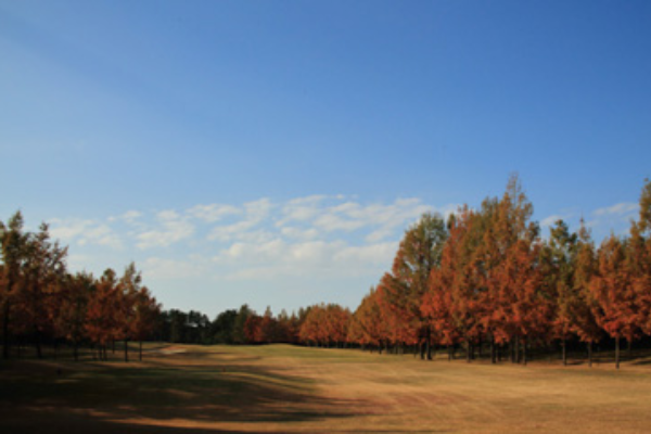 日本高爾夫｜新潟